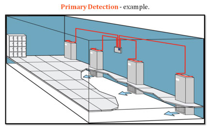 primary detection example